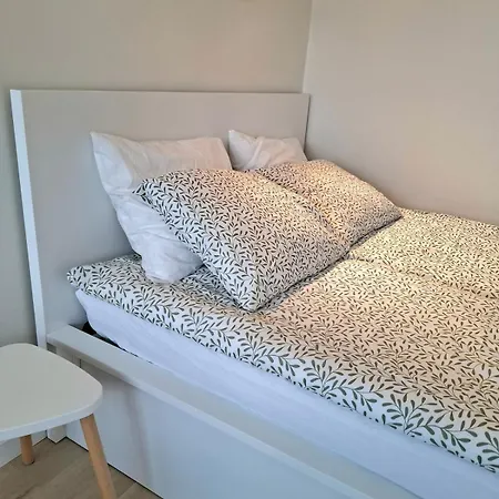 2-person In The Center Of 格丁尼亚