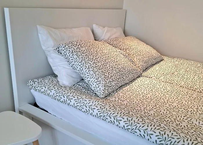 2-person In The Center Of Gdynia